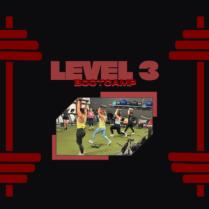 Level 3 Bootcamp