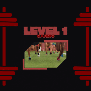 Level 1 Cardio