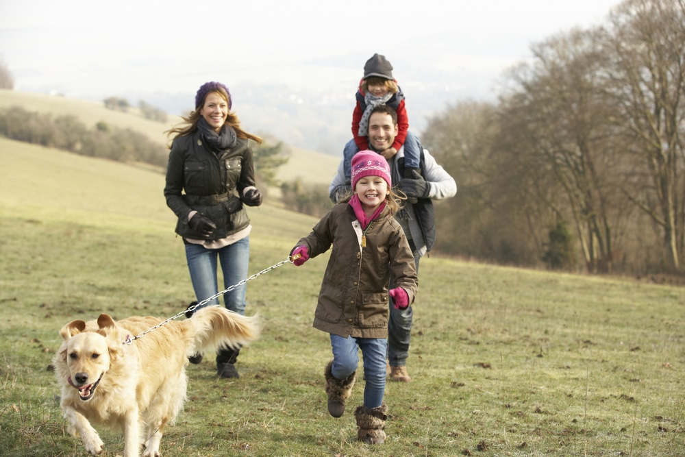Family going for a walk after Thanksgiving dinner to stay active and maintain fitness.